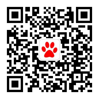 關(guān)注微信公眾號(hào)